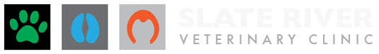 Slate River Veterinary Clinic